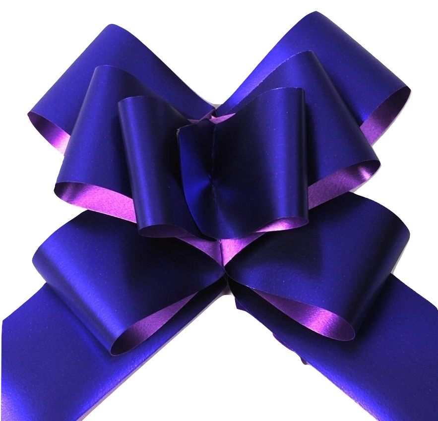 BOW BUTTERFLY PURPLE 32MMX100(454819)(Z)